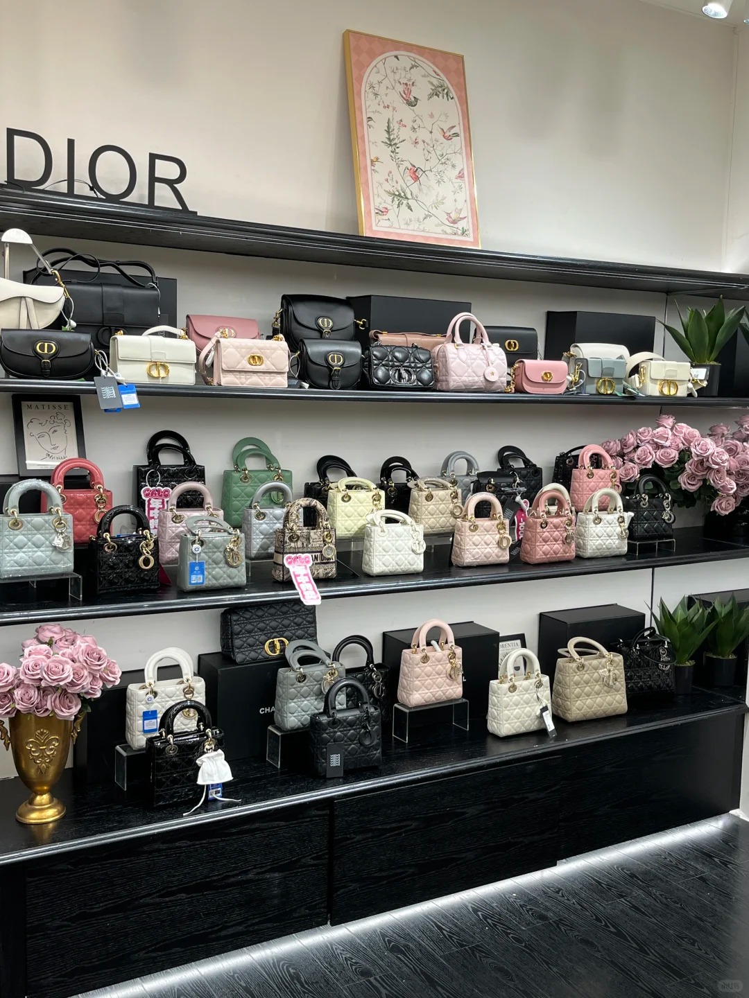 Product showcase 3